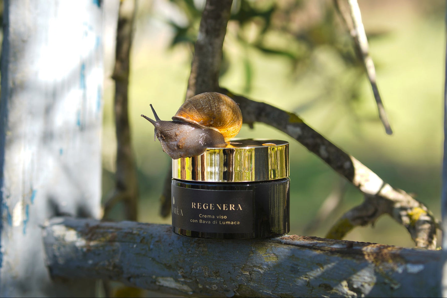 Lusmèa Regenera - Crema Viso Antiage con Bava di Lumaca